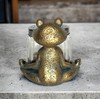 Yoga Frog Salt and Pepper Set with Glass Shakers –