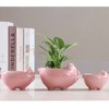 Cuteforyou Succulent Pots, Cute Animal Pig Shaped Ceramic Cactus Flower