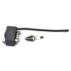 Coil Ignition With BM6A For Echo ES-250 PB-250LN PB-250 ES-252