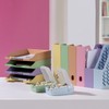 HAN Croco flashcard box, easy to learn vocabulary with 5-compartment