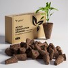 LetPot 40 PCS Seed Starter Sponges, Square Replacement Grow Sponges