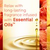 Glade PlugIns Refills Air Freshener, Scented and Essential Oils for