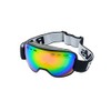 RAVS by Alpland ski goggles snowboard goggles - SPECIAL DESIGN