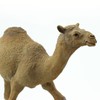 Safari Ltd. Wild Safari Wildlife Dromedary Camel