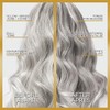 L'Oreal Paris Le Color Gloss One Step In-Shower Toning Hair