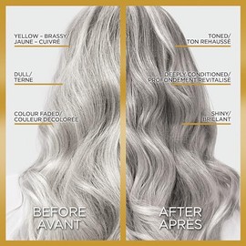 L'Oreal Paris Le Color Gloss One Step In-Shower Toning Hair Gloss, Neutralizes Brass, Conditions & Boosts Shine, Silver, 4 Ounce