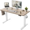 TIQLAB Standing Desk 47 x 24 inch, Electric Height Adjustable