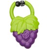 Infantino Vibrating Teether - Juego de frutas
