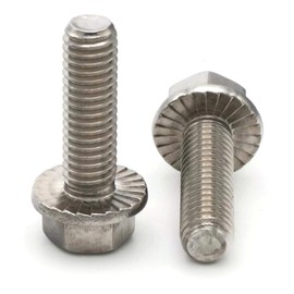 Hex Flange Serrated Cap Bolt Screws 18-8 Stainless Steel - 10-24 x 1/2 - Qty 100