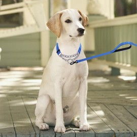 haoyueer Martingale Dog Collar, Stainless Steel Chain, Martingale Collar with Reflective, Adjustable for Medium Large Dogs (Dark Blue Set, S)