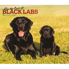 For the Love of Black Labrador Retrievers | 2024 14 x 24 Inch Monthly Deluxe Wall Calendar | Foil Stamped Cover | BrownTrout | Animal Dog Breeds