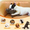 PetWarm Dog Toys Chew Squeaky, Durable Chew & Stress-Relief Interactive