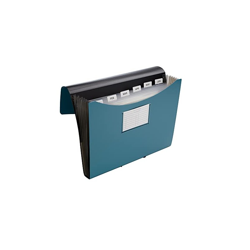 Office Depot® Brand Plastic File, 13 Pocket, Expansion 5-1/2", 8