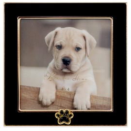 Lawrence Frames 4x4 Black Enamel on Gold Metal Frame - Dog Paw Print