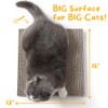 Hide & Scratch Cat Scratcher Pad – 4 Pack |