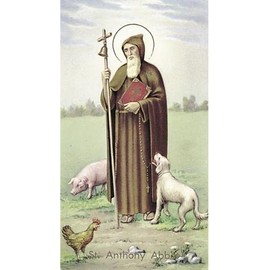 Saint Anthony Paper Holy Card (Pack of 100)