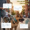Fancy Pets Correa con Collar de Nylon para Perro con