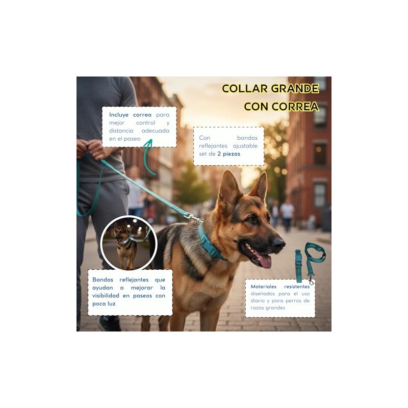 Fancy Pets Correa con Collar de Nylon para Perro con