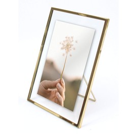 MIMOSA MOMENTS Brass Metal Floating 4x6 Picture Frame