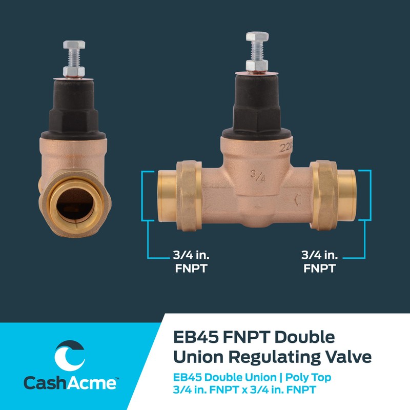 Cash Acme 3/4 Inch EB45 Double Union Pressure Regulating Valve
