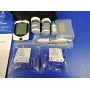 Metene NEW Metene TD-4116 Blood Glucose Monitor/ 100 Strips 100