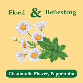 Tadin Chamomile & Mint Tea, Herbal Tea, Caffeine Free Tea, Tea Bags Individually Wrapped, 24 Tea Bags Per Box, Pack of 6