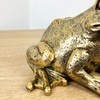 Alfie Francis Gold Frog Ornament Statue Home Shelf Decor Sculpture