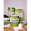Great Lakes Gelatin Collagen Hydrolysate, Grass-Fed Bovine Hydrolysed Collagen Peptides