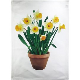 Half a Donkey Pot of Spring Daffodils large cotton tea towel