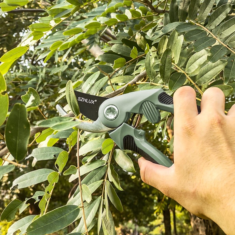 SZHLUX Pruning Shears, Sharp Precision Hand Pruner SK5 Carbon Steel