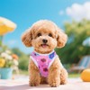 Pistha 4 Pcs Dog Shirts Lovely Printed Pet Clothes Sleeveless