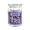 SRG Scented 18 Ounce Glass Jar Container Candle - Lavender