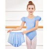 Zaclotre Girls Ballet Leotards with Removable High Low Skirt Toddler