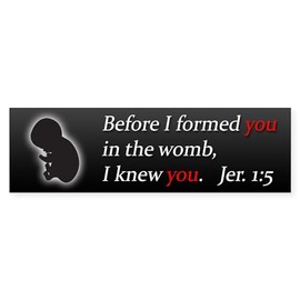 CafePress Before I Formed You in The Womb, 10"x3" Rectangle Vinyl Bumper Sticker Car Decal