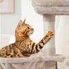 FISH&NAP Cute Cat Tree Kitten Cat Tower for Indoor Cat