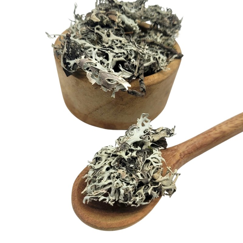 Té Pulmonaria, Té Herbal Infusion, Tisana Artesanal 100% Natural