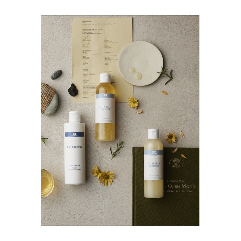 Burdock Root Relaxing Care Shampoo 200ml / 우엉뿌리 릴렉싱 케어