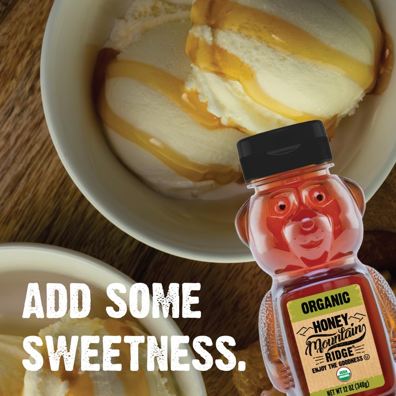 Mountain Ridge Organic Honey Bear (12oz Pack of 1)