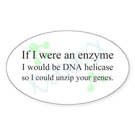 CafePress DNA Helicase Oval Sticker Oval Car Bumper Sticker
