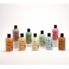 philosophy holiday special delivery 9pc 8oz shower gel collection