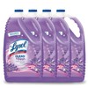 Lysol Multi-Surface Cleaner, Sanitizing and Disinfecting Pour, to Clean and