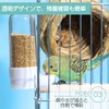 I'm so happy Bird Feeder Water Jug Automatic Feeder Water