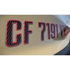 Boat Registration Stickers - Domed Carbon Fiber Numbers with Red