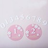 Acrylic Daisy Baby Milestone Cards, 3D Baby Milestone Signs, 1-12