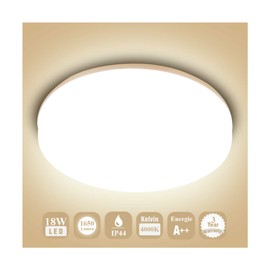 Öuesen Ceiling Light, LED Bathroom Lamp, Ceiling Light Bathroom