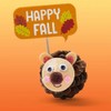 Set of 6 Adorable Pinecone Hedgehog Craft Kits for Fall
