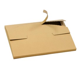 Earth Cardboard ID0088 Cardboard, B4, Set of 30, Cardboard, 80 Size, Thin