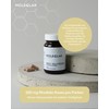 MoleQlar MoleQlar Rhodiola Rosea Kapseln 60 Stck - 500 mg