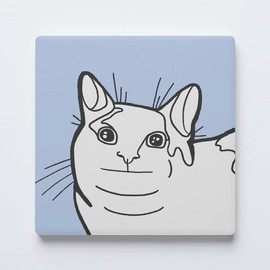 Cat Meme Coaster 5, Joyride Home Decor, Single Ceramic Coaster, 4-inch Individual Square Drink Coaster, Non-Slip Cork Back, Protects Surfaces, Express Your Style.