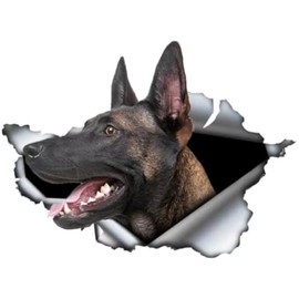 2pcs Belgian Malinois Dog Sticker 5.91"x4.33", Vinyl Car Decal for Bumper, Window, Notebook, Wall, A Gift for Pet Lovers, Waterproof & Durable Car Decal Sticker |#N324A